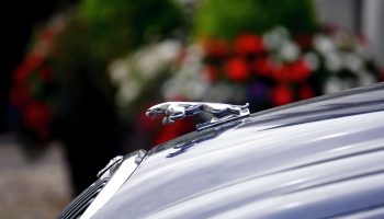 StockSnap_JXG4ZYJXKU-scaled.jpg StockSnap_JXG4ZYJXKU-scaled.jpg